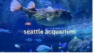 Seattle Aquarium 