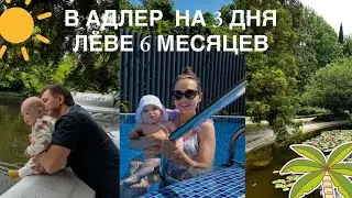 В АДЛЕР ИЗ КРАСНОДАРА НА 3 ДНЯ🌴ЛЁВЕ 6 МЕСЯЦЕВ🎂