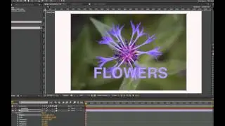 Introduction to 3D and Cameras in After Effects