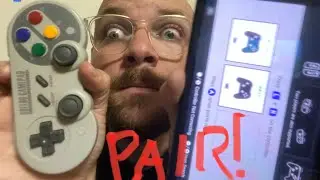 Pair Switch & 8Bitdo SN30 SF30 Pro (w comedy)