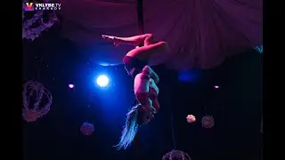 Harley Quinn aerial silks performance | Nataly Borovyk