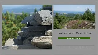 Escapade Photo : Les Lauzes du Mont Signon en Haute-Loire (Auvergne)