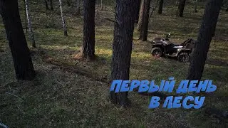 НАЧАЛО ПРОЕКТА "ЛЕСНАЯ СТОЛЯРКА"
