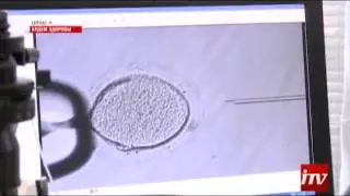urolog2