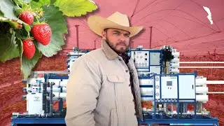 La única Desalinizadora de América Latina, está en este cultivo de Fresa. 🍓