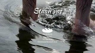 Staan vas