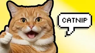 FACTS ABOUT CATNIP - Is your cat SECRETLY addicted? 🌿🐱
