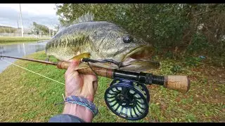 Bedding Canal Largemouth eating flies for UNDERWATER CAMERA | Charleston Fishing | Bass on fly