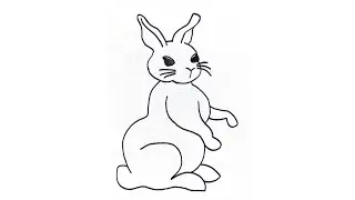 New Rabbit Drawing Of 2025
