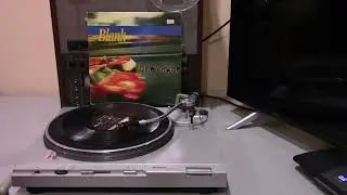 Blank - How Could You Turn Me Into You? (1995)