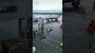 Airbus A330-300 Аэрофлот рейс SU-1706 из Москвы. Посадка, руление в аэропорту Владивосток.