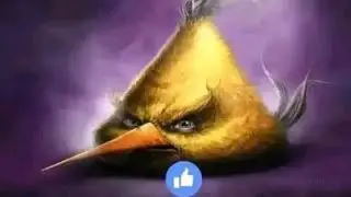 Shitpost Compilation 71