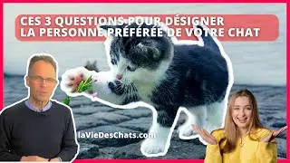 CES 3 QUESTIONS POUR DÉSIGNER LA PERSONNE PRÉFÉRÉE DE VOTRE CHAT - QUIZZ