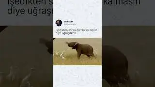 doğru mu beyler?