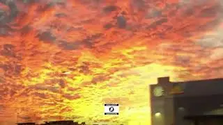 [FREE FOR PROFIT] P9D Type Beat ''Passionate