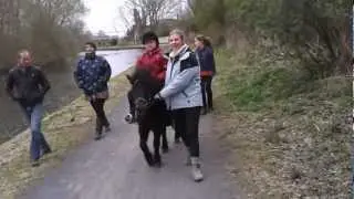 GIOVAN2