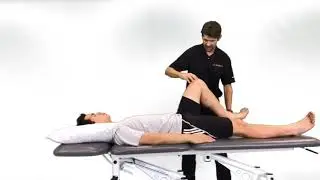 Mentoring Minute - Meniscal Tears