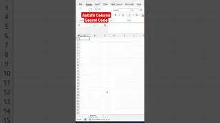 Excel Tips & Tricks 