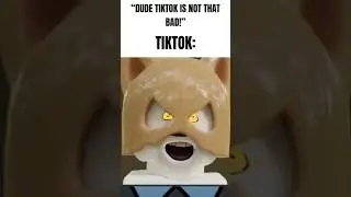 LEGO TikTok moment 🗿