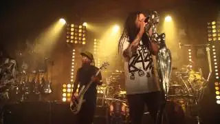 Korn 