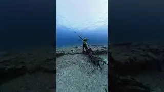 Bajé a 13 Metros de Profundidad Para Capturar Este Pez