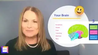 Your Three Brains