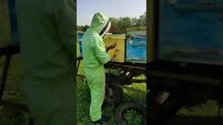 Начало кочёвки. 22 мая.