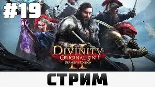 Divinity: Original Sin 2 | Поцелуй паучихи #19