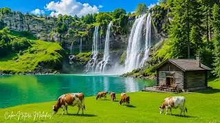 Beautiful Relaxing Music - Healing Music For Health And Calming The Nervous System, Deep Relaxation