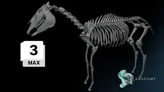 How To Model A Horse Skeleton In 3ds Max (Part 6)