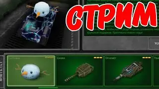 🔴 🎁 НАЧАЛО В 