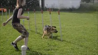 Agility training Málkov - 8.6.2016
