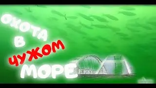 ОХОТА в "ЧУЖОМ" МОРЕ.  Азовское море 2020. ОХОТА НА РЫБ