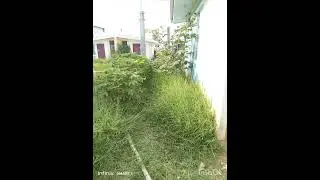 Share ko lng nalinisan namin