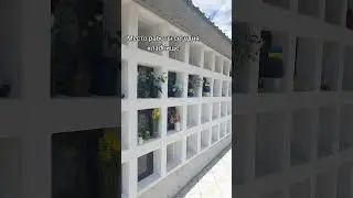 Самое лучшее место работы #аграфина #shorts