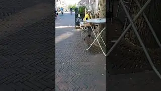 Dutch Traditions. Bikes, Beer, Poppies, Boats, Cute Houses. Travel in the Netherlands
