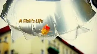 A Fish's Life (Shortfilm, 2012)