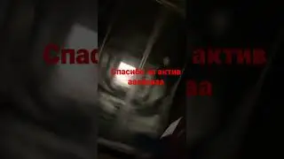 11 июля 2023 г.