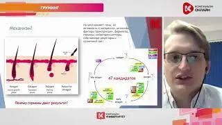 Проект «Алопеция Х у шпицев».