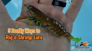 5 Deadly Ways to Rig a Shrimp Lure | Flats Class YouTube