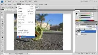 3.3 Resizing with Content-Aware Scale: Adobe Photoshop CS4 Video