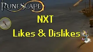 RuneScape NXT Client Likes and Dislikes