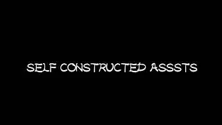 self constructed assets// substantive procedures ( Auditing