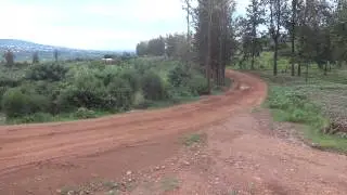 Rally de l' Est 2014, Memorial Jean Pierre