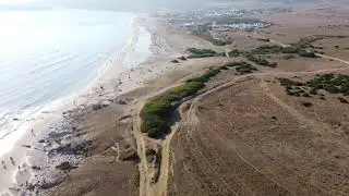 bolonia