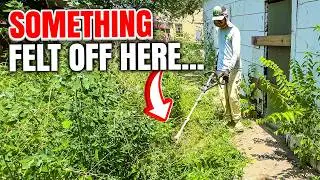 This was the yard that turned heads for the WRONG REASONS - It RUINED the whole street