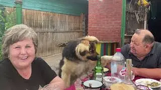 1 июля 2022