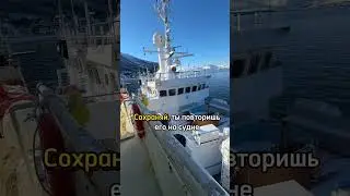 Что может быть романтичнее чем работа в море ? Шутка 😂смотрите больше видео, там не до романтике
