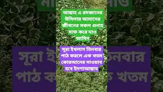 সূরা#ইখলাস#তিনবার#পাঠ#করলে#এক#খতম#কোরআনের#সাওয়াব#হবে#ইনশাআল্লাহ#tg#village