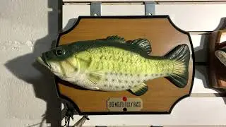 RC Billy Bass: Rocky Rainbow Trout recordings (Born to be Wild)